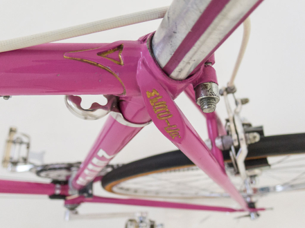 Mercier Service de Course Team Color 1975