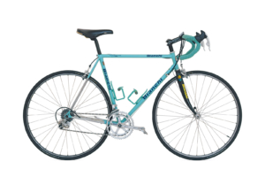 Bianchi Reparto Corse, 1995