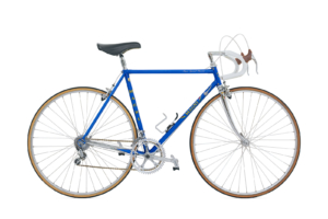 Magni Special Record, 1981