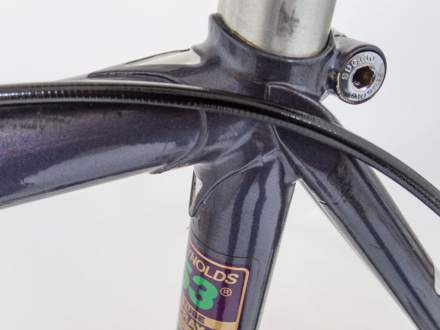 Cilo Aufina Team 753 Ciusani, 1983-84