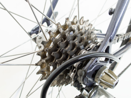 Cilo Aufina Team 753 Ciusani, 1983-84