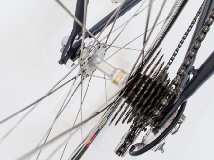 Cilo Aufina Team 753 Ciusani, 1983-84