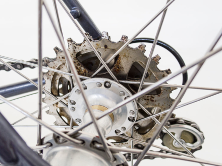 Cilo Aufina Team 753 Ciusani, 1983-84