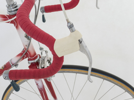 Allegro Special World Champion 1963