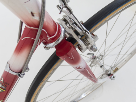 Allegro Special World Champion 1963