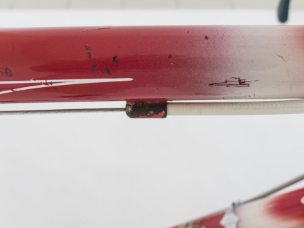 Allegro Special World Champion 1963