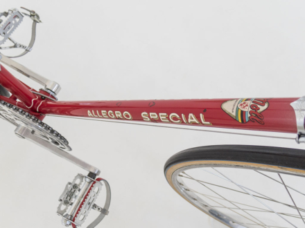 Allegro Special World Champion 1963