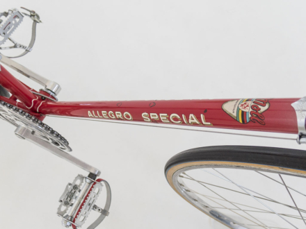Allegro Special World Champion 1963