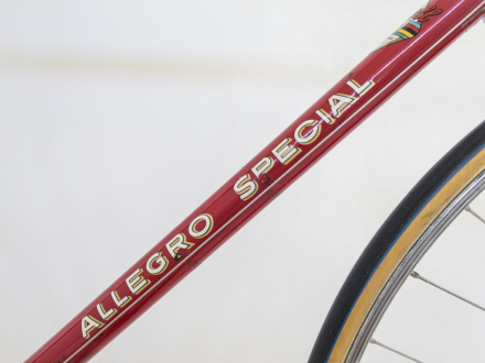 Allegro Special World Champion 1963