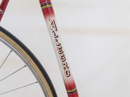 Allegro Special World Champion 1963