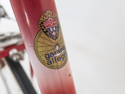 Allegro Special World Champion 1963