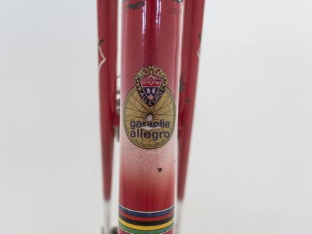 Allegro Special World Champion 1963