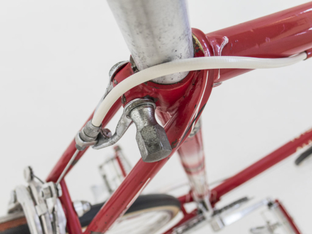 Allegro Special World Champion 1963