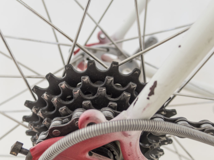 Allegro Special World Champion 1963