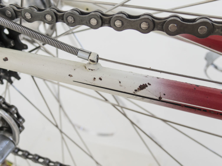 Allegro Special World Champion 1963