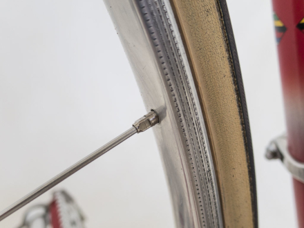 Allegro Special World Champion 1963