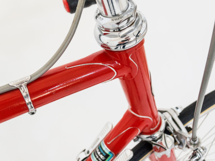 Cycles Imholz Sport, 1977