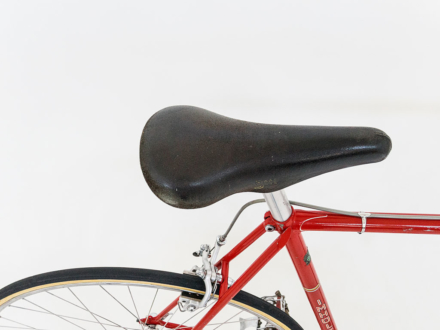 Cycles Imholz Sport, 1977