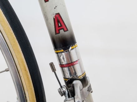 Tigra Professionnel 1963