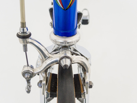 Magni Special Record 1981