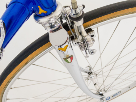 Magni Special Record 1981