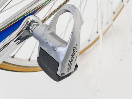 Magni Special Record 1981