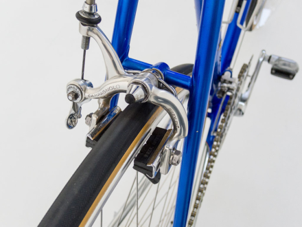 Magni Special Record 1981