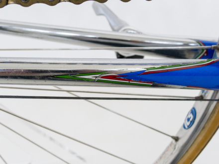 Magni Special Record 1981