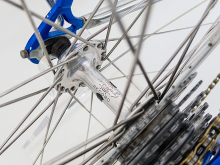 Magni Special Record 1981