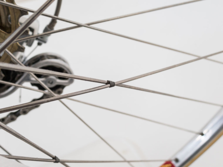 Hugo Koblet Team TdS Roland Salm 1978