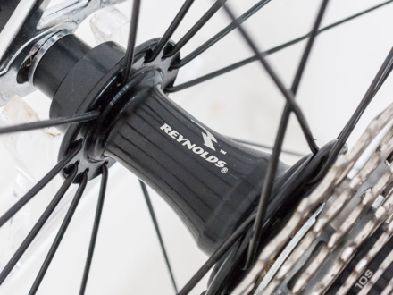 Rauler Arabesque 2008