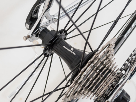 Rauler Arabesque 2008