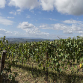 Panorama Castello Eroica Gaiole di Chianti 2019