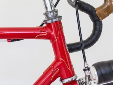 alois imholz rennvelo