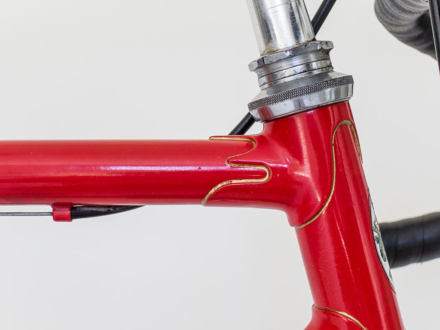 alois imholz rennvelo