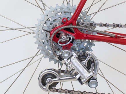 alois imholz rennvelo